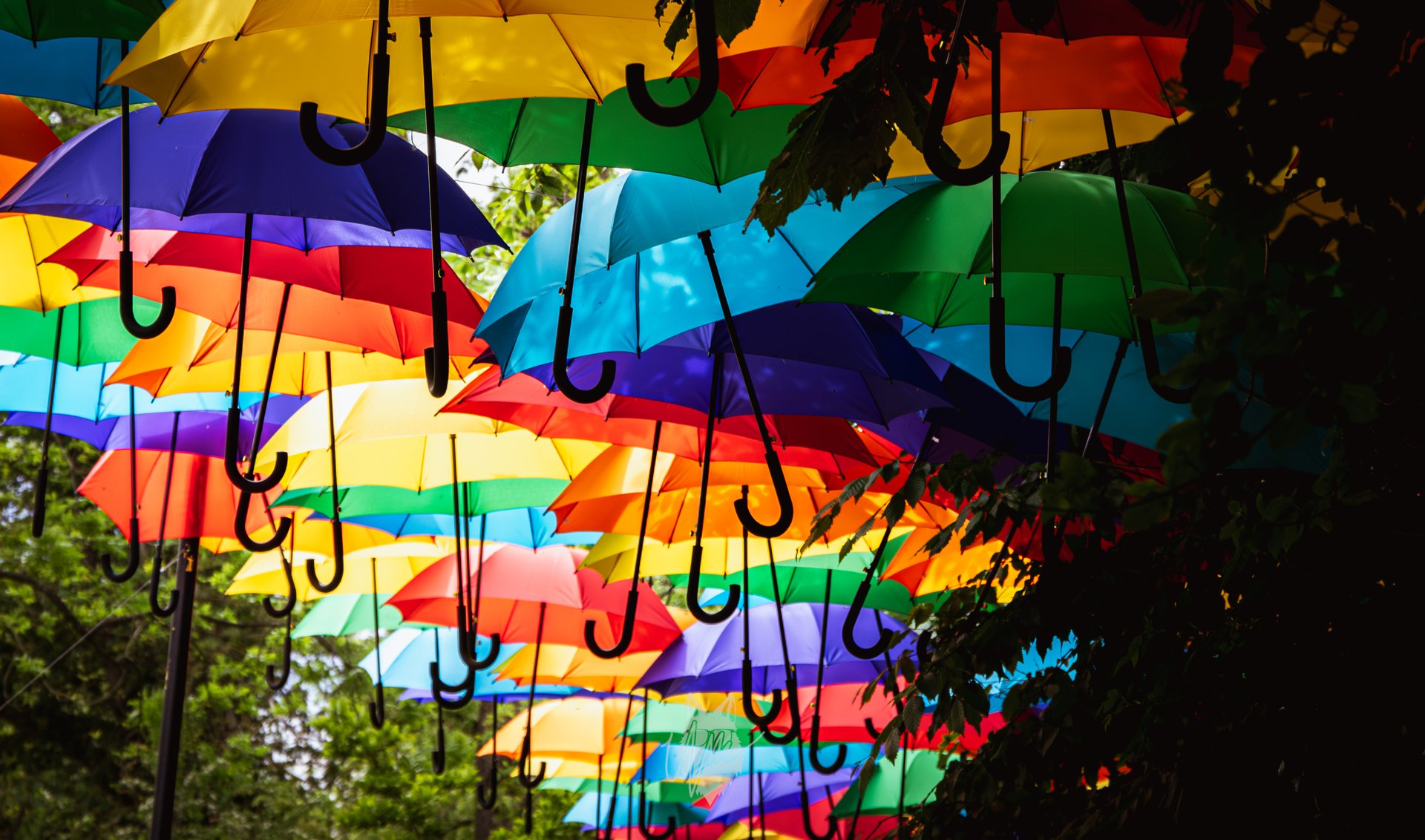 Kleurrijke Parapludek